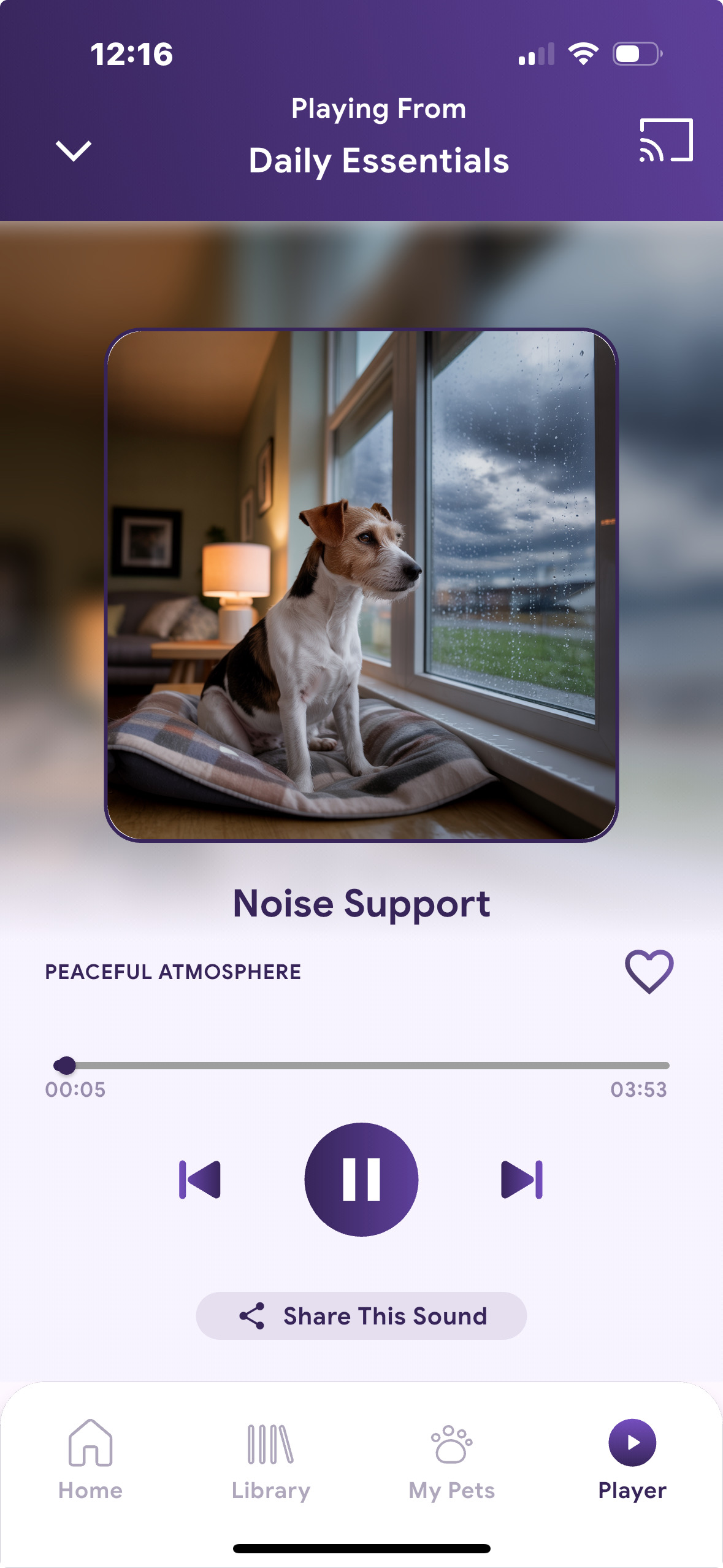 Noise Support